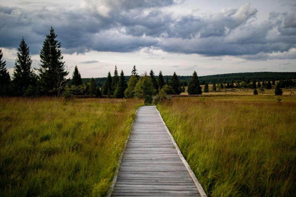 Apartman Krusne Hory - Erzgebirge Horní Blatná Esterno foto