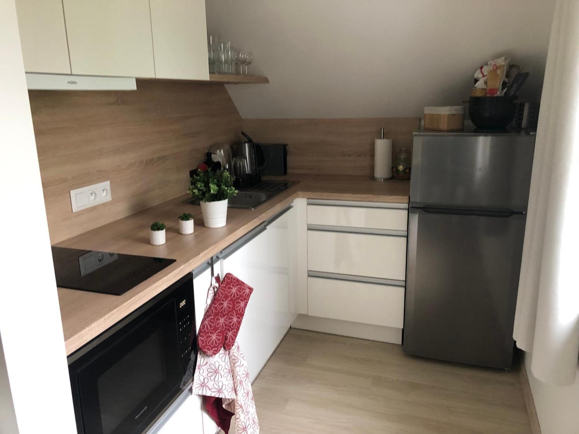 Apartman Krusne Hory - Erzgebirge Horní Blatná Esterno foto